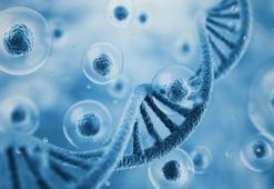 Kök hücreden daha mı güçlü? Eksozom tedavisi hakkında bilmeniz gereken her şey