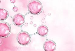 Collagen Nedir? Collagen İçeren Takviyeler Hakkında Genel Bilgiler