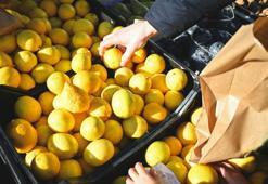 Pazardan limon alırken 2 kere düşünün! Bakın en kalitelisi nasıl seçiliyormuş