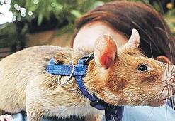 Heykeli dikilen fare