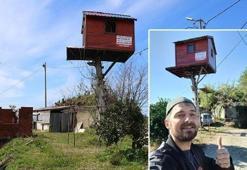 10 yaşında kurduğu hayali 25 yıl sonra gerçekleştirdi: 7 metre yüksekliğe ağaç ev yaptı