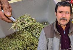 Yakaya birkaç damla damlatmak yetiyor! Dikkat dağınıklığını engelleyip odağı anında artırıyor