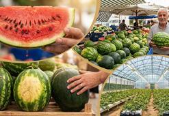 Market ve pazar tezgahlarına geldi! En kaliteli karpuz nasıl seçilir? Meğer o çatlaklar...
