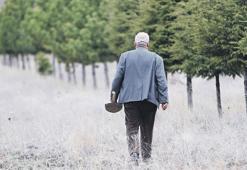 Fidanlar ağaca ağaçlar ormana...