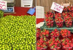 Yaz yaklaşırken tezgahlar renklendi! Kilosu 50 TL'ye olan da var 400 TL'ye satılan da