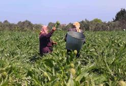 Hafta sonu hobi olarak başladı, şimdi Türkiye'nin dört bir yanına koli koli gönderiyor! Talebe yetişemiyor...