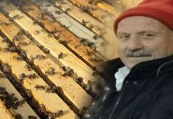 Arı soktu hayatı durdu