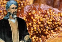 İbn-i Sina'nın favori meyvesi! Böbrekteki kumları temizleyip ciltteki lekeleri silgi gibi siliyor