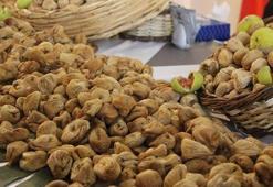 Anadolu'nun dünyaya armağanı: Dalında kuruyan tek meyve! Kilosu Avrupa'da 20 Euro'ya kapışılıyor