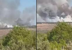 Beykoz'da ormanlık alanda yangın