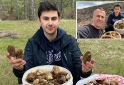 Ormanlık alanda adeta 'hazine' buldular! Görenleri hayrete düşürdüler: Baba ve oğlunu yüzünü güldüren 'doğal servet'