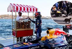 Formula 1 pilotuna selam veren sokak kedisi kalpleri eritti! Dünya bu görüntüleri konuşuyor: 'İstanbul'da sıradan bir gün'