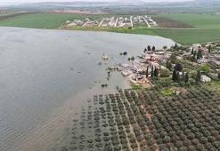 Hatay'da boş kalan baraj taştı! Köyler suya gömüldü