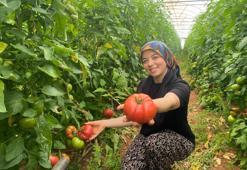 Üretime kadın eli değdi bereket arttı! O ilçede yıllık 550 bin ton hasat ediliyor