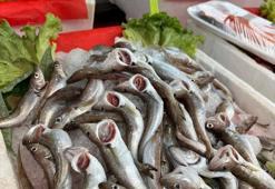 Çeşit bitince fiyatı 500 TL'ye çıktı! Dünyanın en zengin omega-3 kaynağı