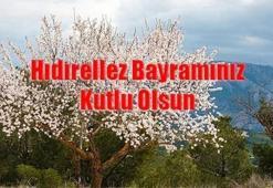 2026 HIDIRELLEZ MESAJLARI | EN GÜZEL, RESİMLİ HIDIRELLEZ MESAJLARI! BOLLUK VE BEREKET TEMALI HIDIRELLEZ SÖZLERİ: HIDIRELLEZ KUTLAMA MESAJLARI