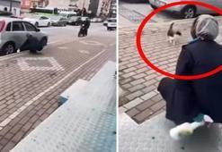Kocaeli’de vicdanları sarsan olay! Önce çağırdı, sonra kimyasal sıktı