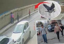 Çocukların kurtardığı yavru kuşu karga kaçırdı! 'Bizi takip ediyormuş'