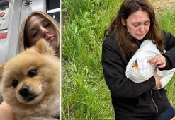 Petshopta ihmal iddiası! 'Bony' boğazına bağlanan ipin kurbanı mı oldu? 'Benim aşkım çok zorlanmış'