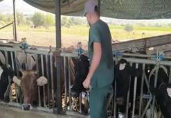 Aydın’da 17 mahallede karantina tedbirleri alındı! Hayvan giriş çıkışı yasak
