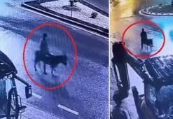 Kuyumcudan altınları çalıp eşekle kaçmıştı! Cezası belli oldu
