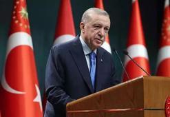 Cumhurbaşkanı Erdoğan, BAE Devlet Başkanı ile görüştü