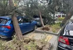 Ankara’da fırtına etkili oldu! Sokaklar savaş alanına döndü