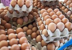 Yumurtaları buzdolabının kapağında saklayan herkesi ilgilendiriyor! Meğer kendi elimizle zehir üretiyormuşuz