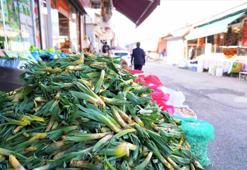 Kilosu 100 liradan tezgaha indi, gören çuvallarla alıyor! Dağ tepelerinden gelen "doğal antibiyotik" satışta