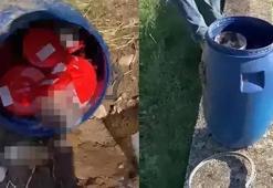 Şanlıurfa’da tüyler ürperten olay! Varilde 21 cenin bulundu
