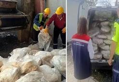 Denetimlerde tespit edildi! Tekirdağ’da 1 ton 200 kilo mumbar imha edildi