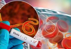 DSÖ'den acil toplantı: 'Ebola virüsünün yayılma hızı endişe verici' 130 can aldı!