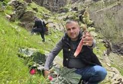 Tarlası yok, bakımı yok, dağlardan bedavaya toplanıyor! Görenler muz zannediyor ama kilosu tam 750 TL...