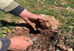 Türkiye'den Lübnan ve Katar'a çuval çuval satılıyor! Kilosu tam 2 bin lira: Bulana anında ev ve araba aldırıyor...