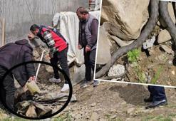 Yer: Muş! Dehşetin boyu tam 3 metre! Mahalleli korkudan dışarı çıkamıyor