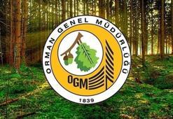 TARIM VE ORMAN BAKANLIĞI PERSONEL ALIMI 2026 | Doğa Koruma ve Milli Parklar Genel Müdürlüğü 92 sözleşmeli personel alımı başladı mı, ne zaman başlayacak, başvurular nereden yapılır?