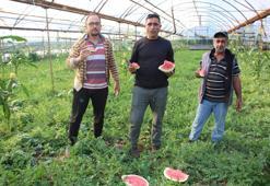 Tadını bilenler fiyatını sormuyor! Rengi, kokusu ve lezzetiyle resmen 'al beni' diyor