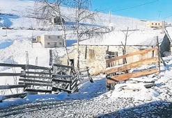 Mayıstaki soğuk hava dalgası, yüksek kesimlere kar getirdi