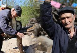 94 yaşındaki Salih Amca'nın uzun yaşam sırrı! Her gün odun kesiyor, gençlere resmen taş çıkartıyor