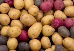 Patates seçerken rengine dikkat edenler yaşadı: Bilim insanları turuncu mu yoksa sarı mı sorusuna son noktayı koydu