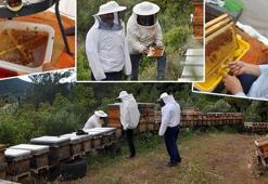 Kilosu 1000 liradan satılıyor! Antalya'da ezber bozan acı bal hasadı başladı