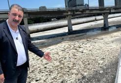 İzmir'de Dünya Çevre Günü'nde maskeli isyan! "Burada nefes almak bile imkansız"