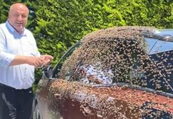 Otoparkta şaşırtan manzara! Arı sürüsü 1 saat boyunca otomobili işgal etti