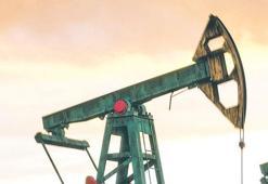 Petrol üretimi için kritik karar