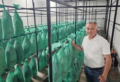Karanlık tünelden bereket taştı! Artvin'de bir ilk: Kilosu resmen altınla yarışıyor