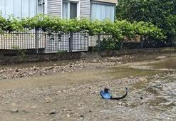 Ordu'da hayat durdu! Sağanak nedeniyle dakikalar içinde sokaklar göle döndü