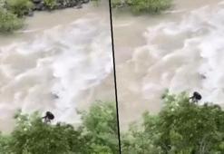 Artvin'de arabayla Çoruh Nehri'ne düşen baba ile oğlu aranıyor