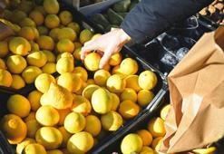 En kaliteli limon nasıl seçilir? Bu detayı gözden kaçıran pişman oluyor