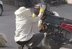 Yol ortasında arı istilası! Motosikleti görenler şaşkına döndü