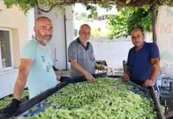 Aydın'da üretiliyor, Türkiye'nin dört bir yanına satılıyor! Kilosu 200 TL: Pazar tezgahlarının biriciği